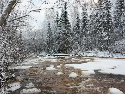 Amata ziemā