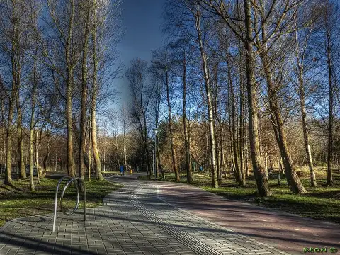 Veloceliņš Liepājas parkā (ilustratīvs)