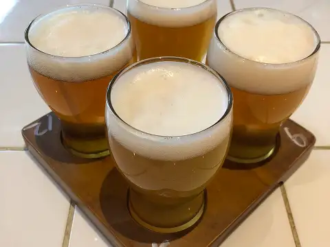 alus degustācija (ilustratīvs)