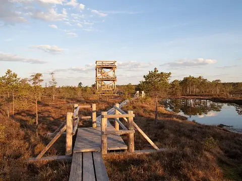 Lielais Ķemeru tīrelis