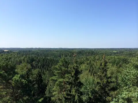 Skats Līgatnes dabas takās