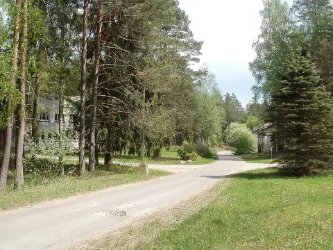 Riekstukalns