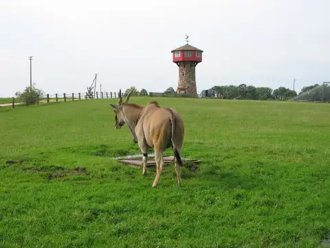 Zoodārzs “Cīruļi”