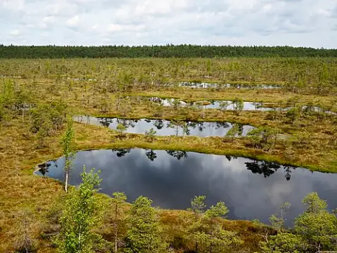 Lielais Ķemeru tīrelis