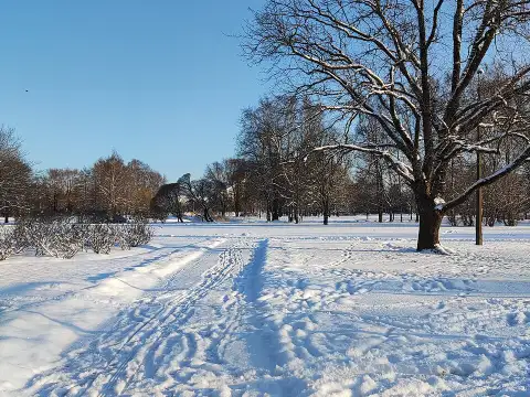 Uzvaras parks ziemā